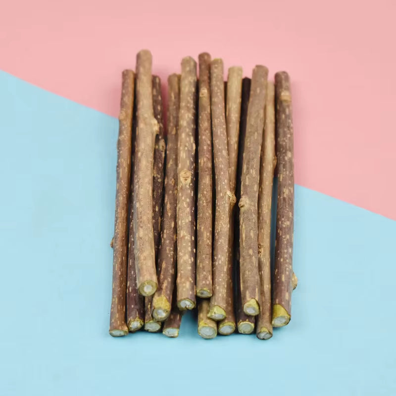 Natural Catnip Dental Chew Sticks for Cats - Safe Oral Care Treats and Pet Supplies