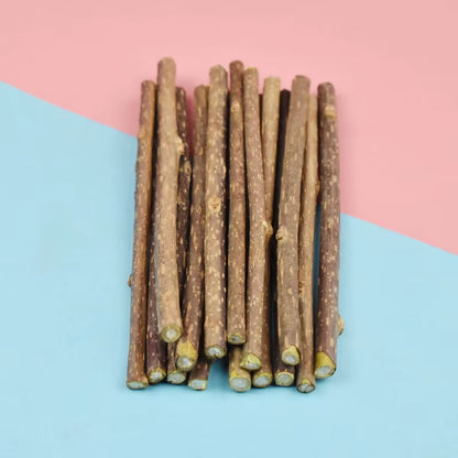 Natural Catnip Dental Chew Sticks for Cats - Safe Oral Care Treats and Pet Supplies