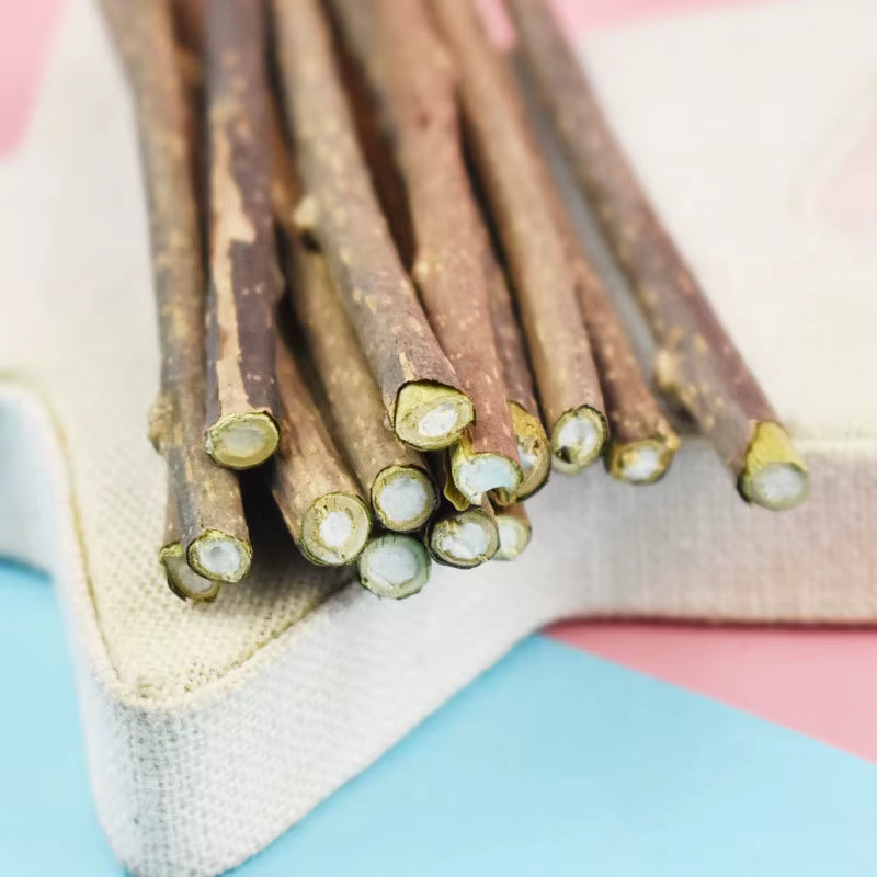 Natural Catnip Dental Chew Sticks for Cats - Safe Oral Care Treats and Pet Supplies
