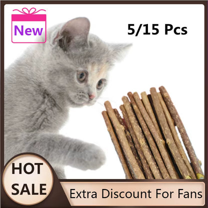 Natural Catnip Dental Chew Sticks for Cats - Safe Oral Care Treats and Pet Supplies